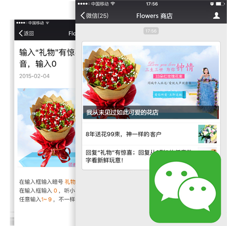 �ʻ���ҵ΢���̳���վ����չʾ